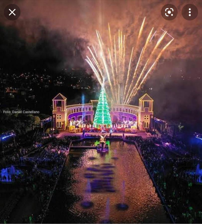 Vicz Palace Hotel كوريتيبا المظهر الخارجي الصورة